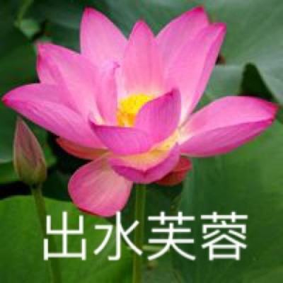 趣炫游戏魔灵修真下载